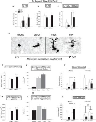 Gestational Exposure to Air Pollution Alters Cortical Volume, Microglial Morphology, and Microglia-Neuron Interactions in a Sex-Specific Manner